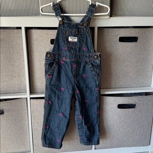 OshKosh‎ B’gosh Baby Girls 24M Denim Overalls Pink Bird Embroidered Snap Leg